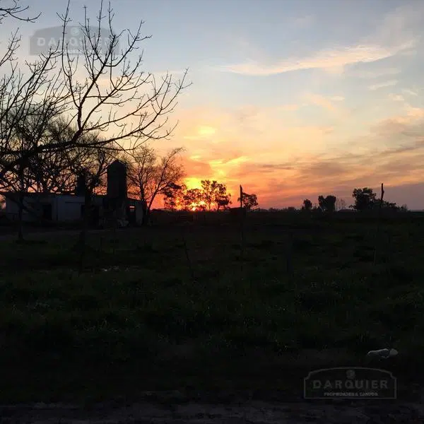 Campo - Ranchos 1