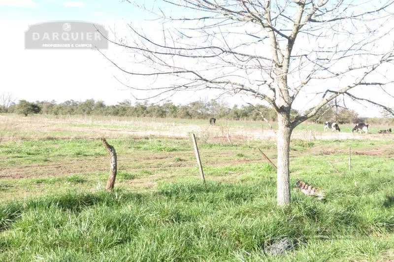 Campo - Ranchos 5