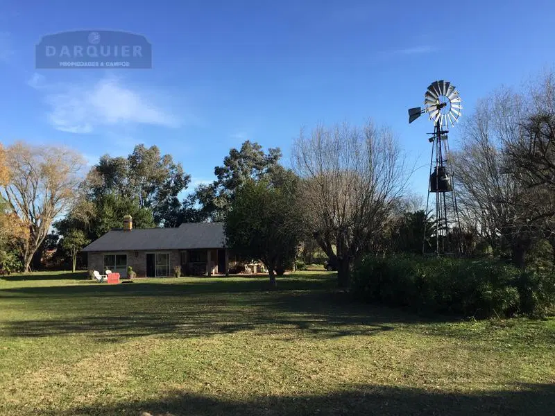 Campo - Ranchos 4