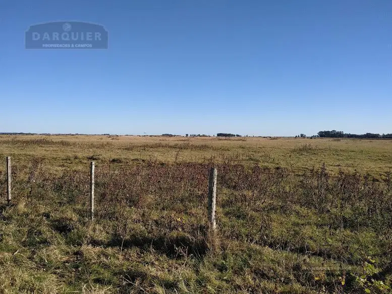 Campo - Punta Indio 4