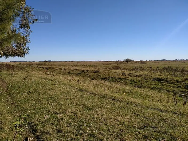 Campo - Punta Indio 2