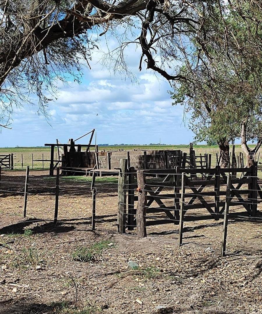 Foto de 497 HA EN SAN MIGUEL DEL MONTE, imagen 2