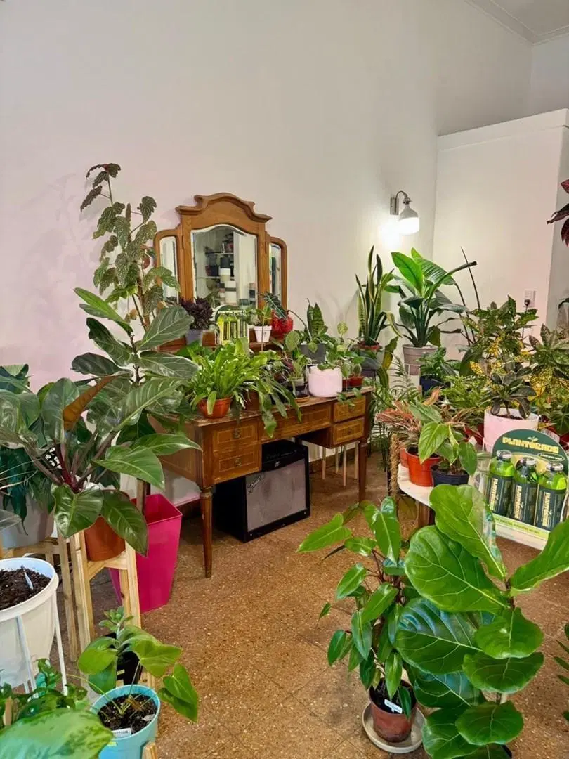 Local en Alquiler en Victoria, San Fernando, G.B.A. Zona Norte 5