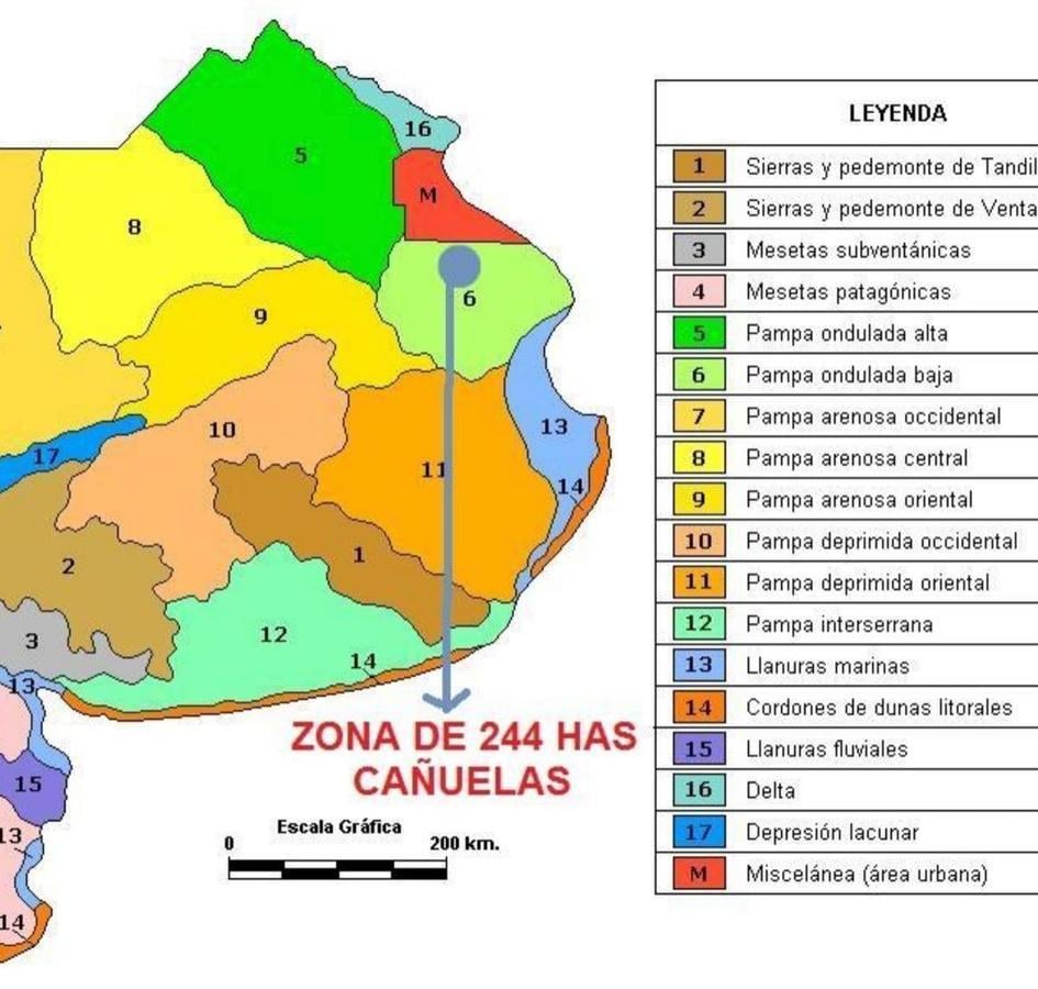 Foto de VENTA - Campo de 244 Hectáreas en Cañuelas, Ideal para Ganadería y, imagen 3
