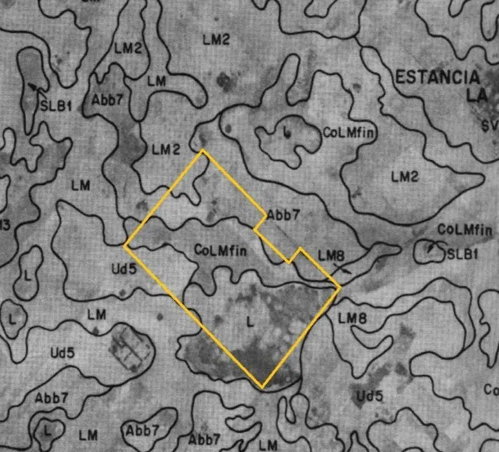 VENTA - Campo de 244 Hectáreas en Cañuelas, Ideal para Ganadería y Agricultura 5