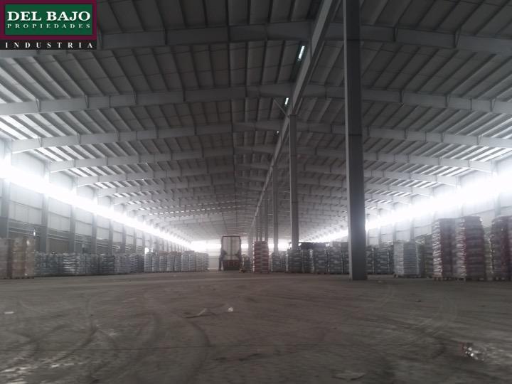 Foto de Venta Depósito Tigre, imagen 5