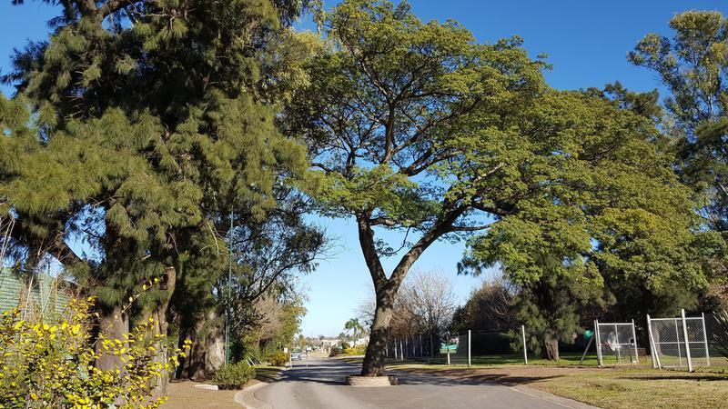 Pre Venta nuevo Loteo en Brisas de Adrgoue