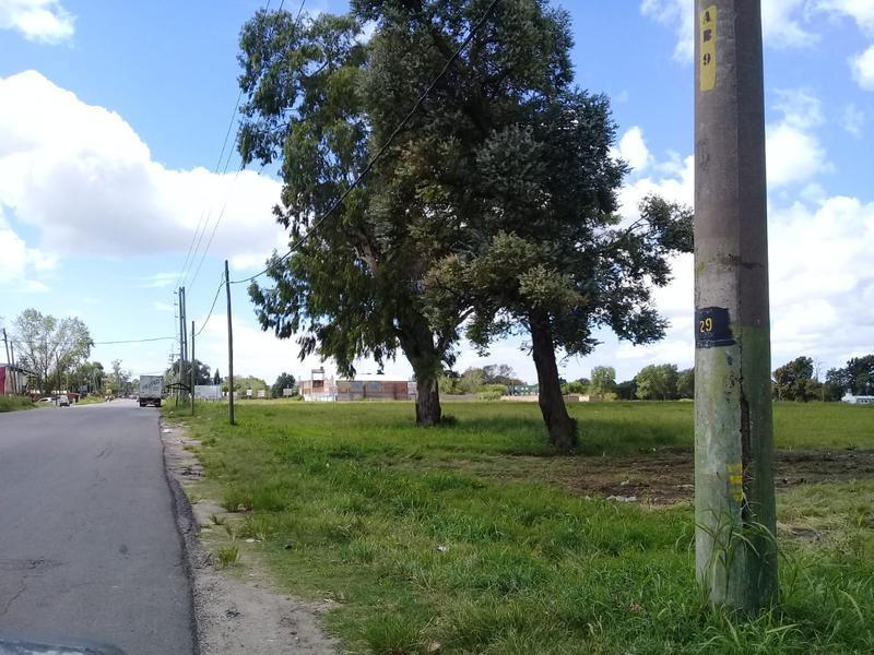 Foto de Altos de Monteverde, imagen 1