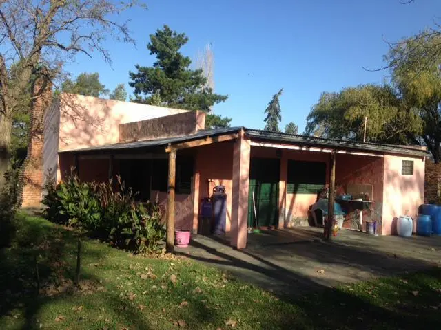 Campo - Las Flores 4