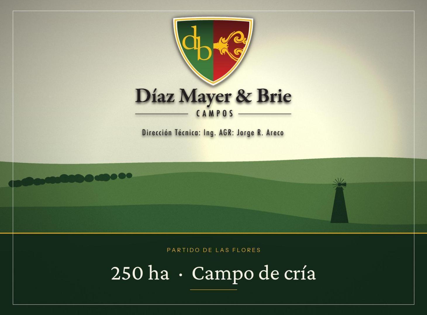 Campo en venta a 30km de la ciudad de Las Flores