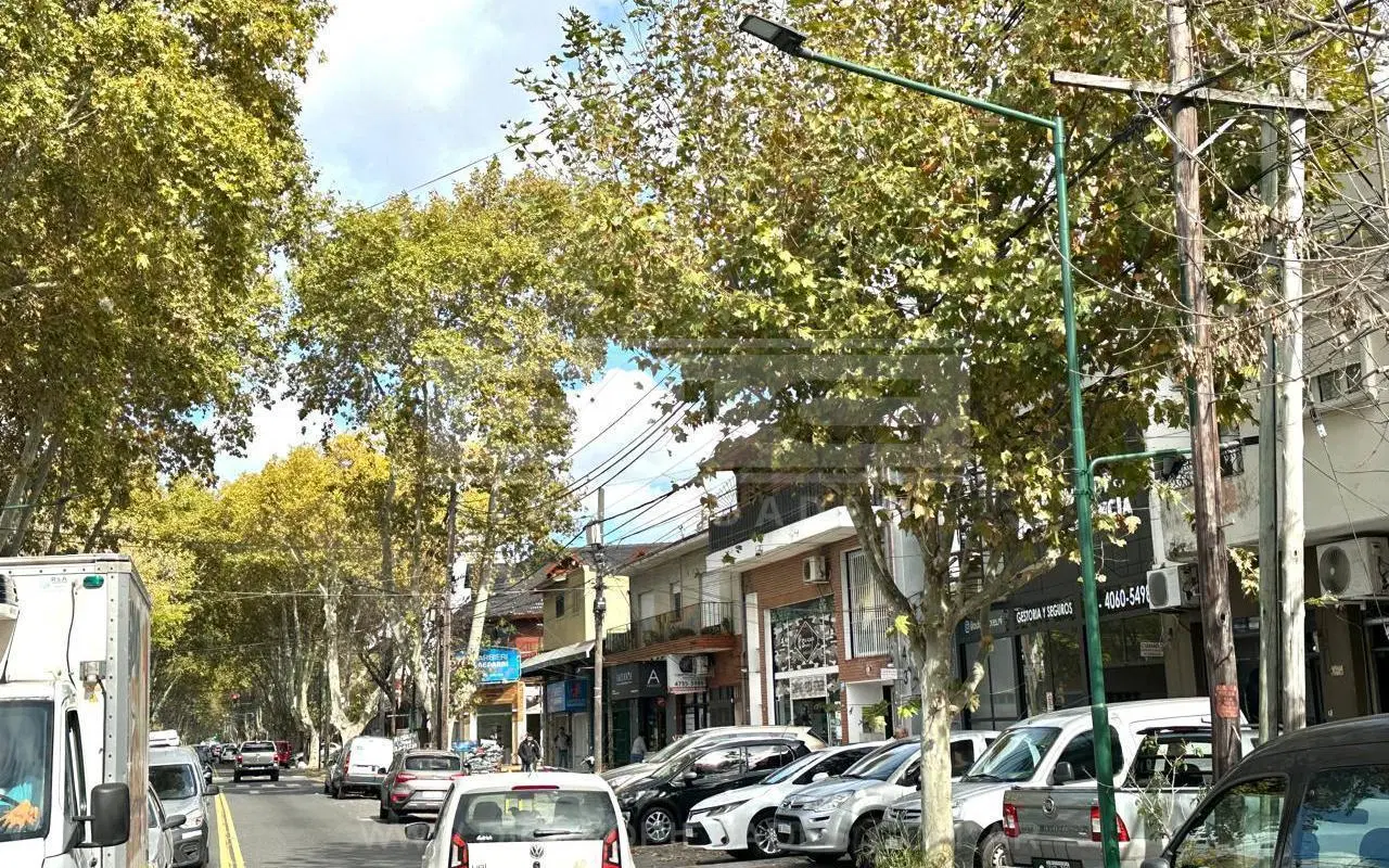Ph 2 dormitorios Alquiler - Villa Adelina 8