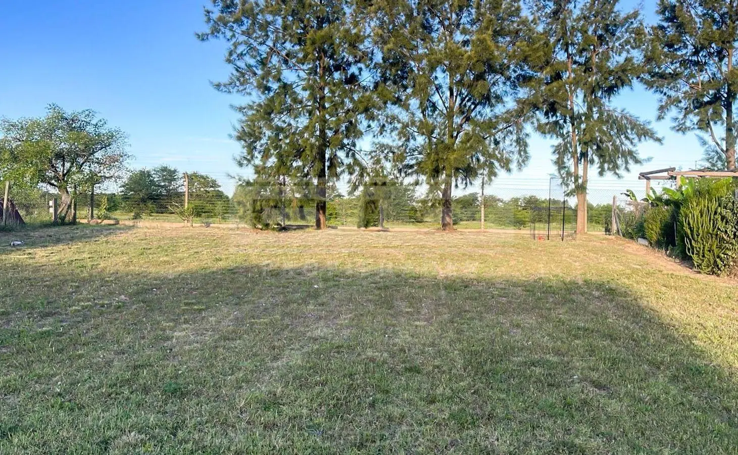 Terreno Venta - San Matias 3