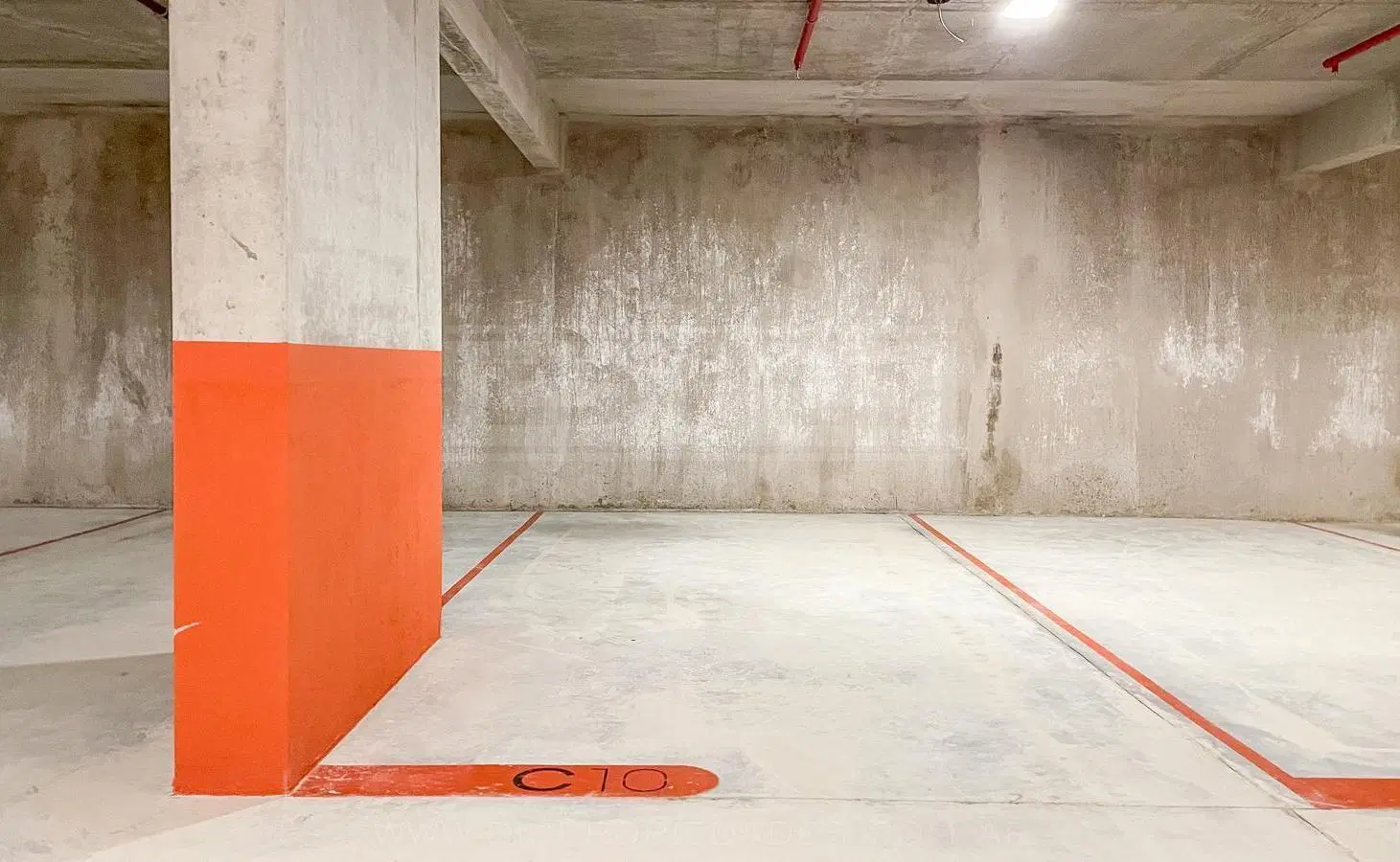 Baulera Venta - Olivos 8
