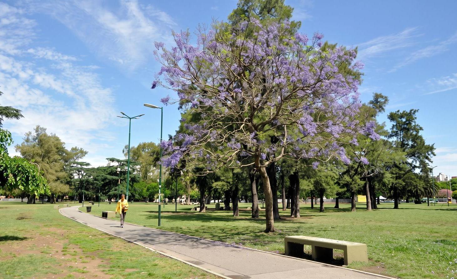 Foto de Cochera Venta - Nuñez, imagen 3