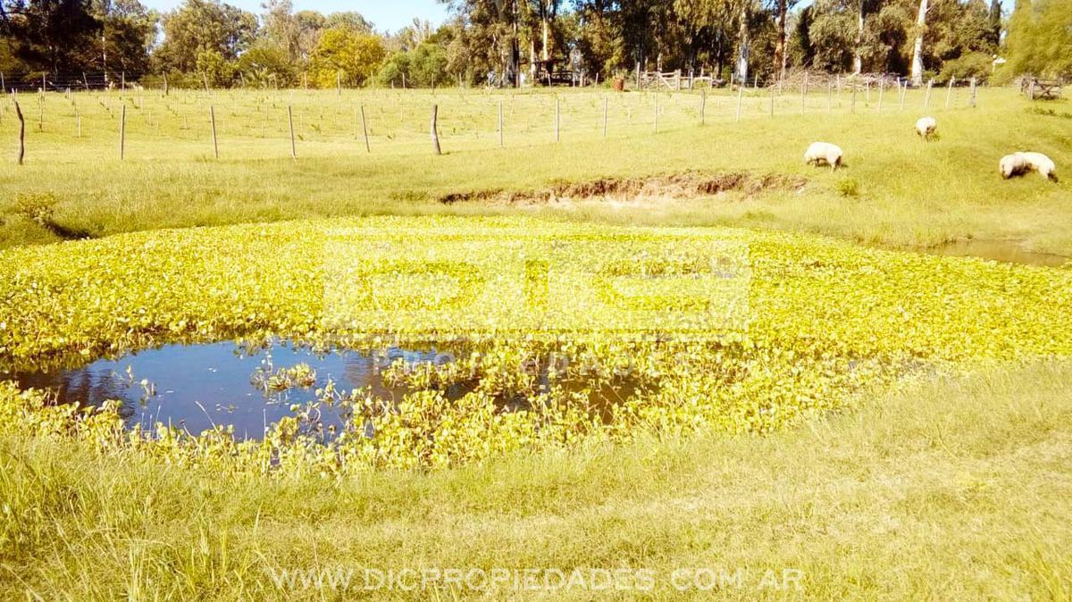 Foto de Casa 6 ambientes en campo de 3 hectareas piscina quincho en Victoria, imagen 5