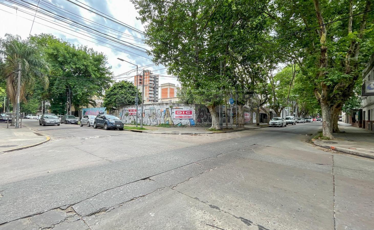 Foto de Terreno Venta - San Martin, imagen 5