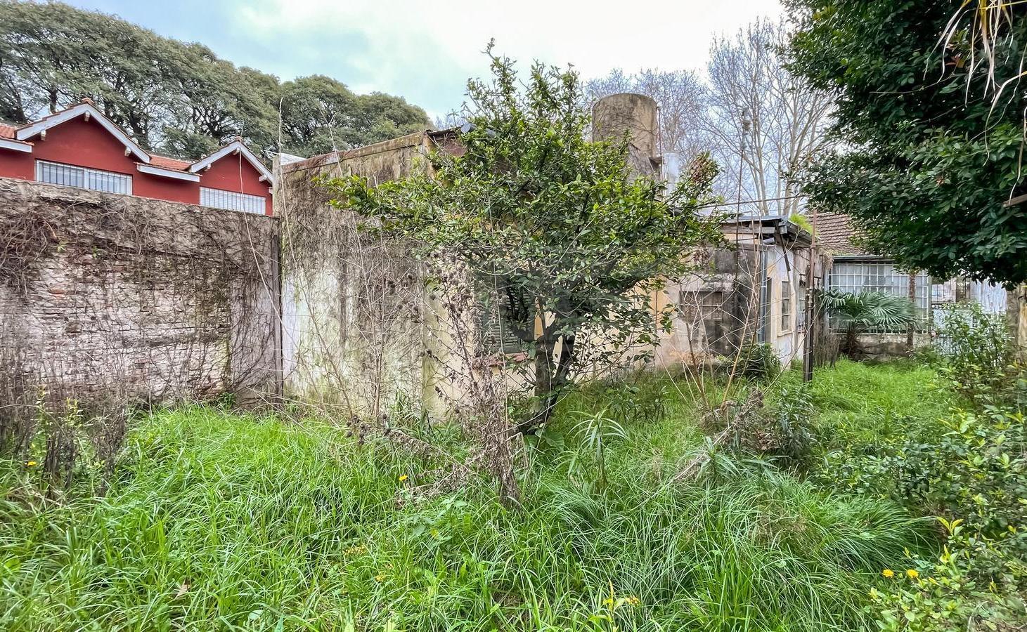 Foto de Terreno Venta - Martinez Vias / Libertador, imagen 3