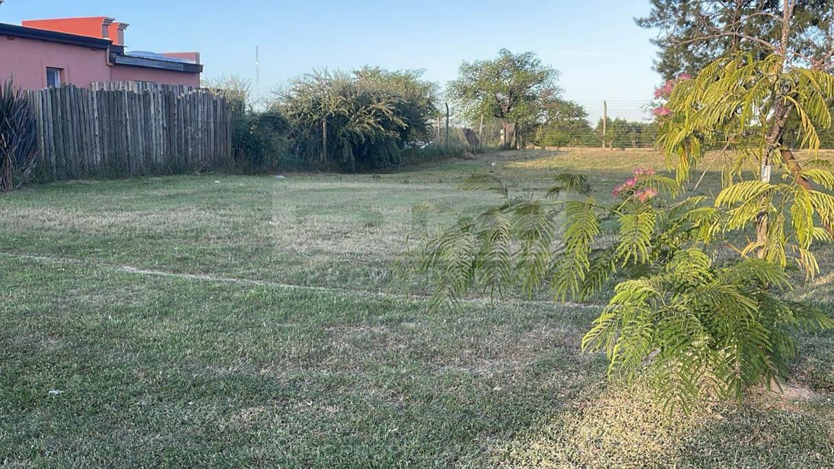 Foto de Terreno Venta - San Matias, imagen 2