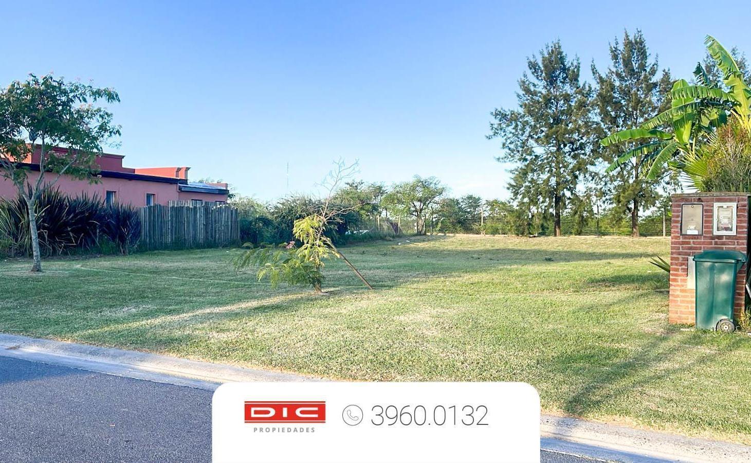Foto de Terreno Venta - San Matias, imagen 4