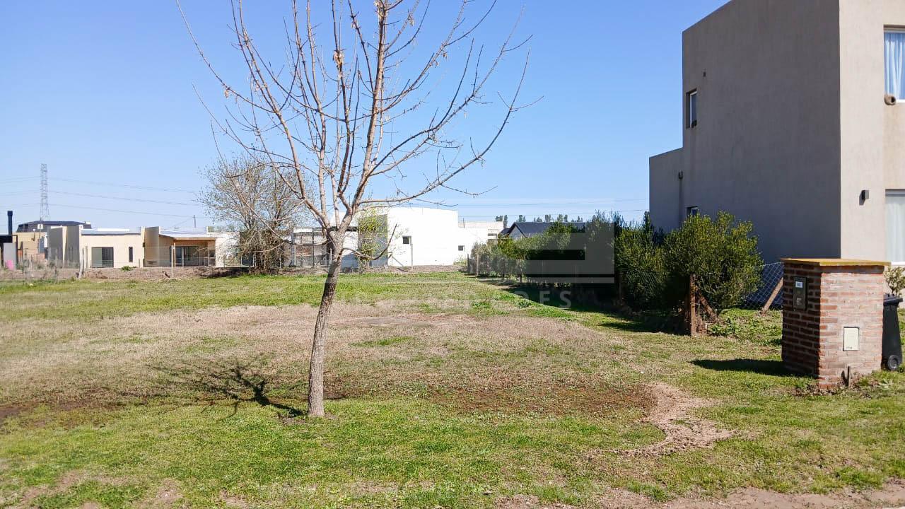 Foto de Terreno Venta - Ingeniero Maschwitz, imagen 3