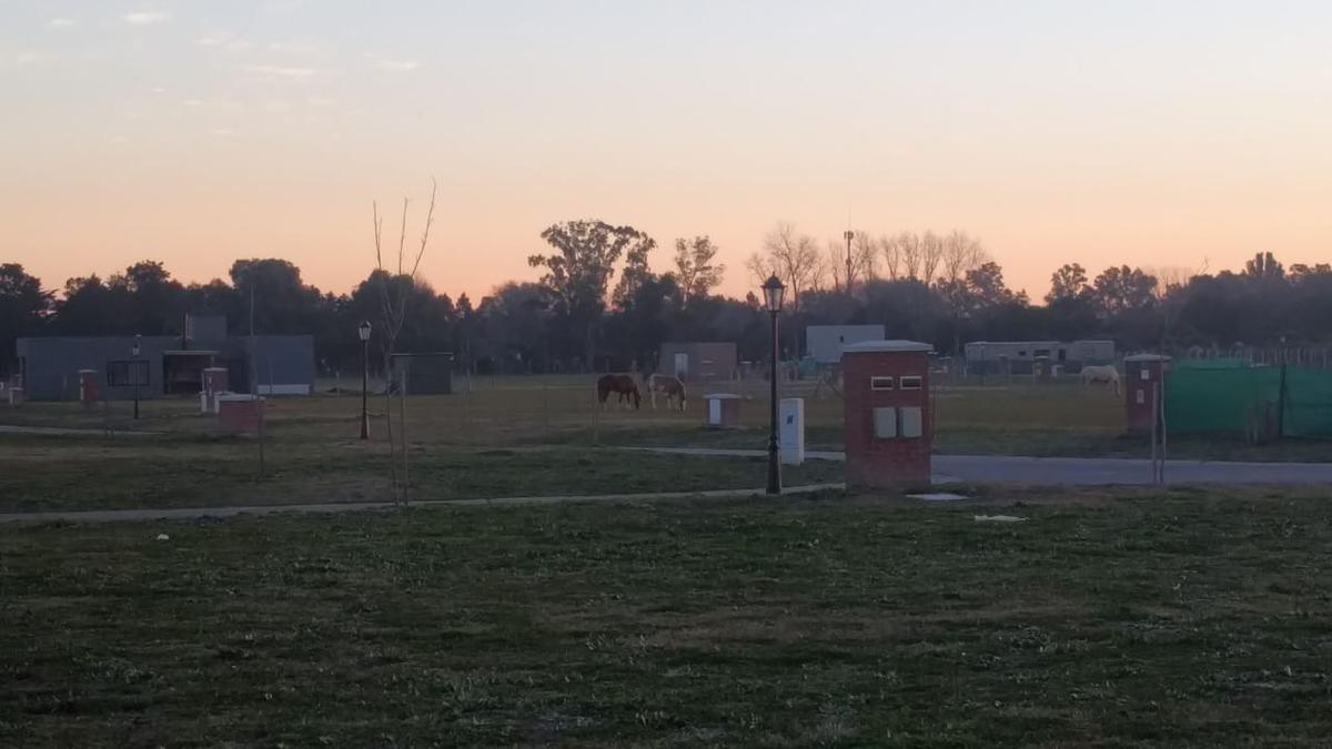 Foto de Terreno Venta - Pilar del Este - San Ramon, imagen 5