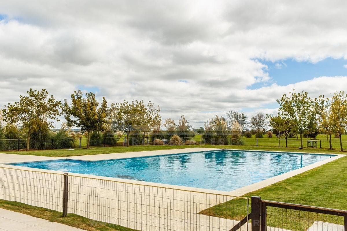 Foto de Terreno Venta - San Sebastián, imagen 5
