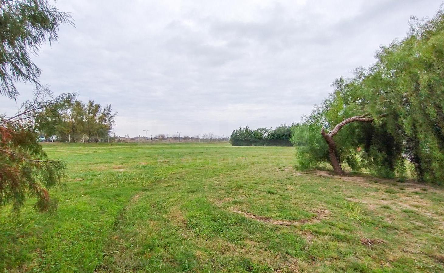 Foto de Terreno Venta - San Sebastián, imagen 4