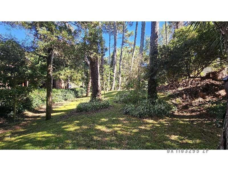 Costa Atlántica - Lote Venta Usd 290.000 2