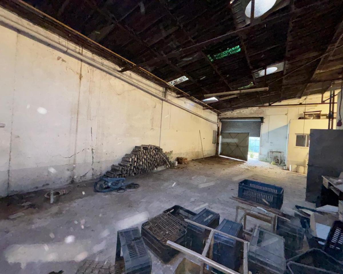 Depósito en venta remedios de escalada
