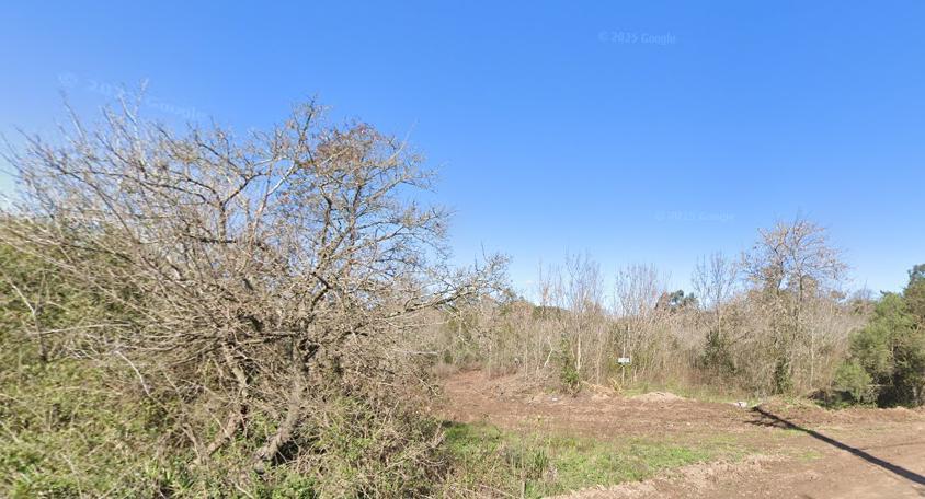 Foto de 20 hectáreas en venta para desarrollo Villa Rosa, imagen 3