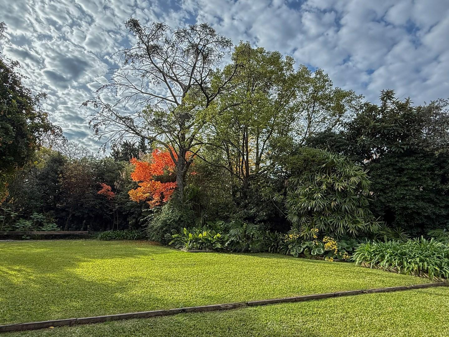 Terreno Lote  en Venta en Martínez, San Isidro, G.B.A. Zona Norte