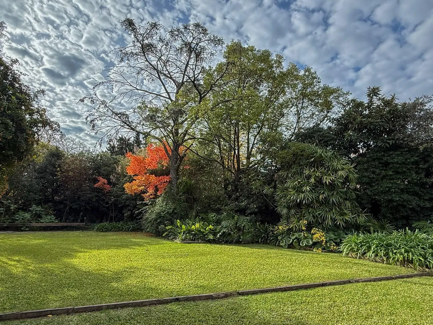 Terreno Lote  en Venta en Martínez, San Isidro, G.B.A. Zona Norte 4