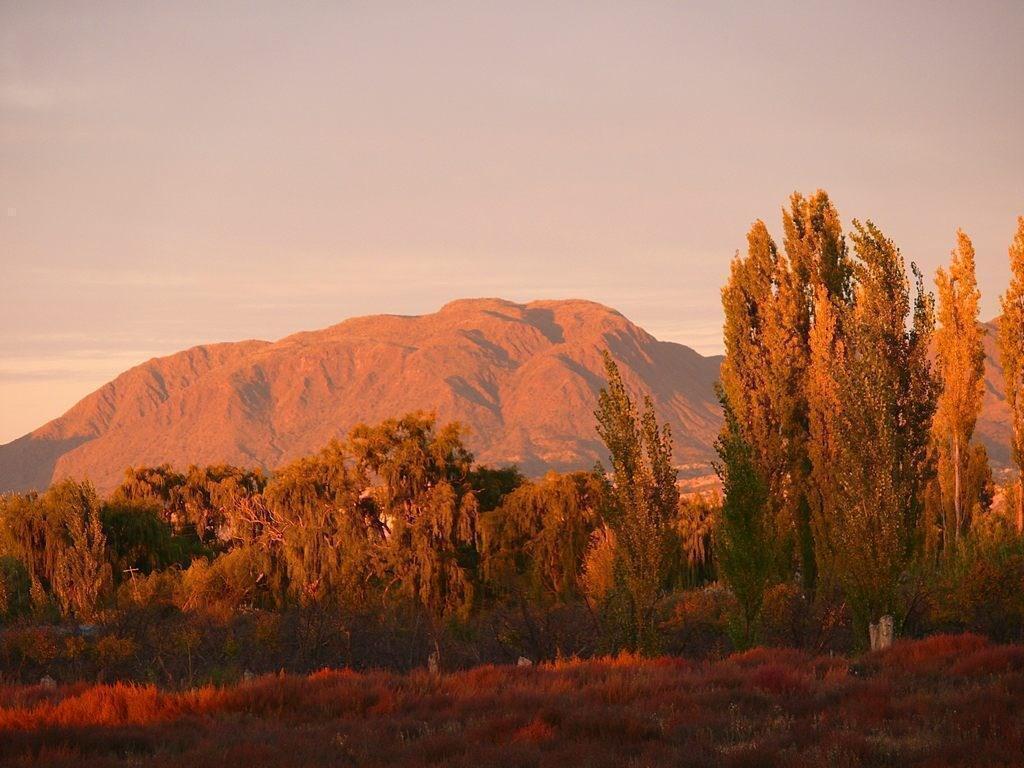 Foto de Terreno Campo en Venta en Rama Caída, San Rafael, Mendoza, Argentina, imagen 1