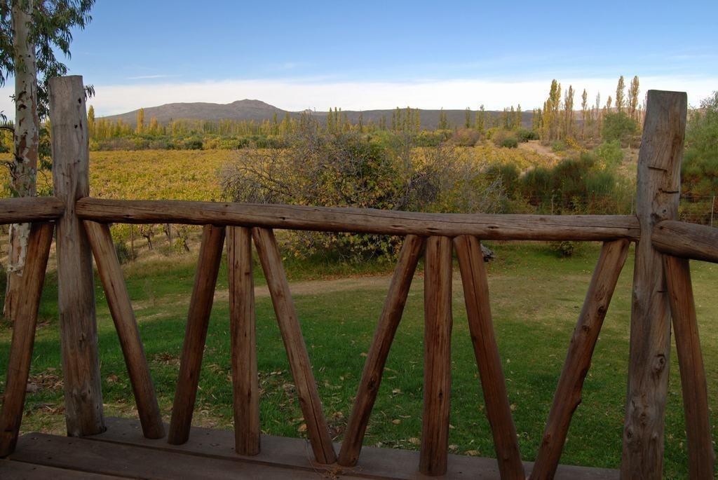 Foto de Terreno Campo en Venta en Rama Caída, San Rafael, Mendoza, Argentina, imagen 3