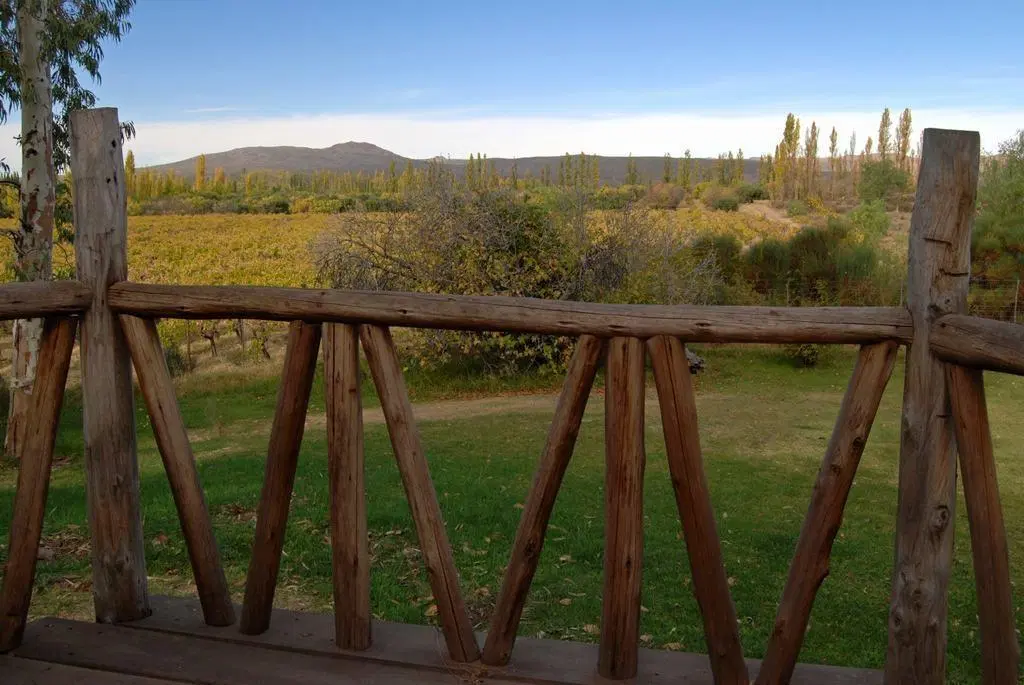 Terreno Campo  en Venta en Rama Caída, San Rafael, Mendoza, Argentina 3