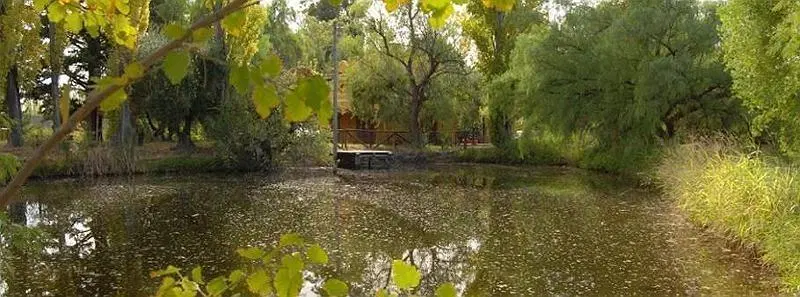 Terreno Campo  en Venta en Rama Caída, San Rafael, Mendoza, Argentina 3