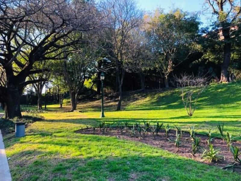 Fantástico Duplex con Pileta, Parrilla y Jardin, 2 Cocheras 3