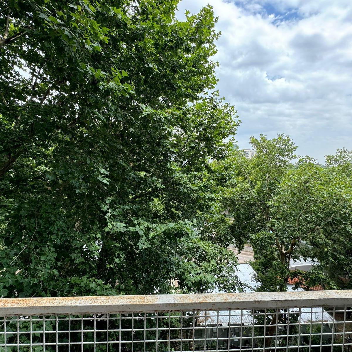 Foto de Departamento en Botanico, imagen 3