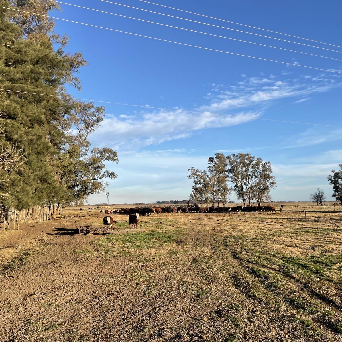 Oportunidad! Campo en Mercedes a 5 Km de La Ruta 41! 3