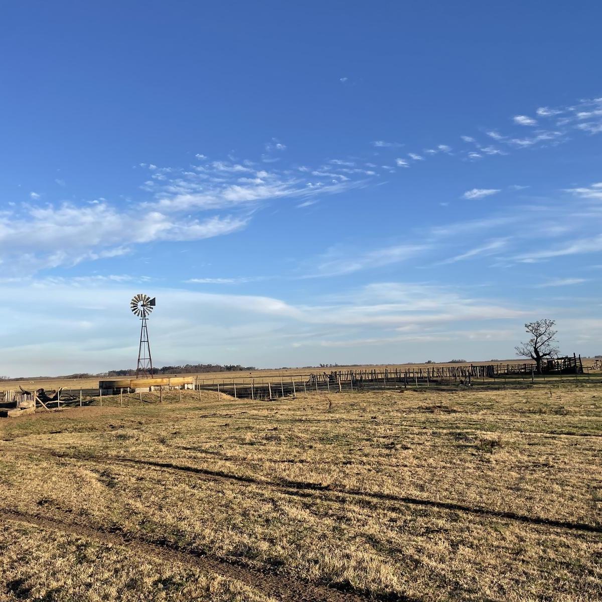 Oportunidad! Campo en Mercedes a 5 Km de La Ruta 41! 1