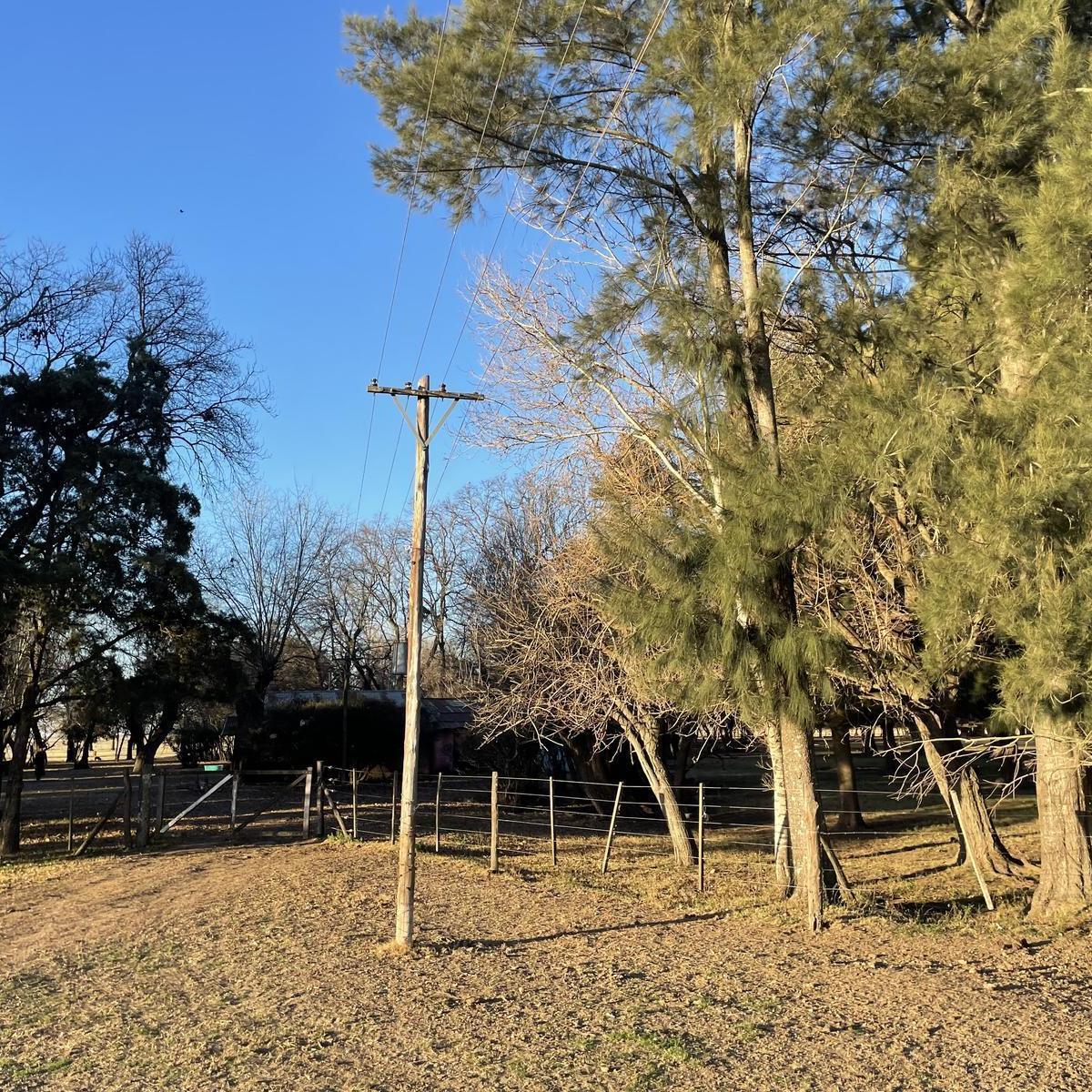 Oportunidad! Campo en Mercedes a 5 Km de La Ruta 41! 5