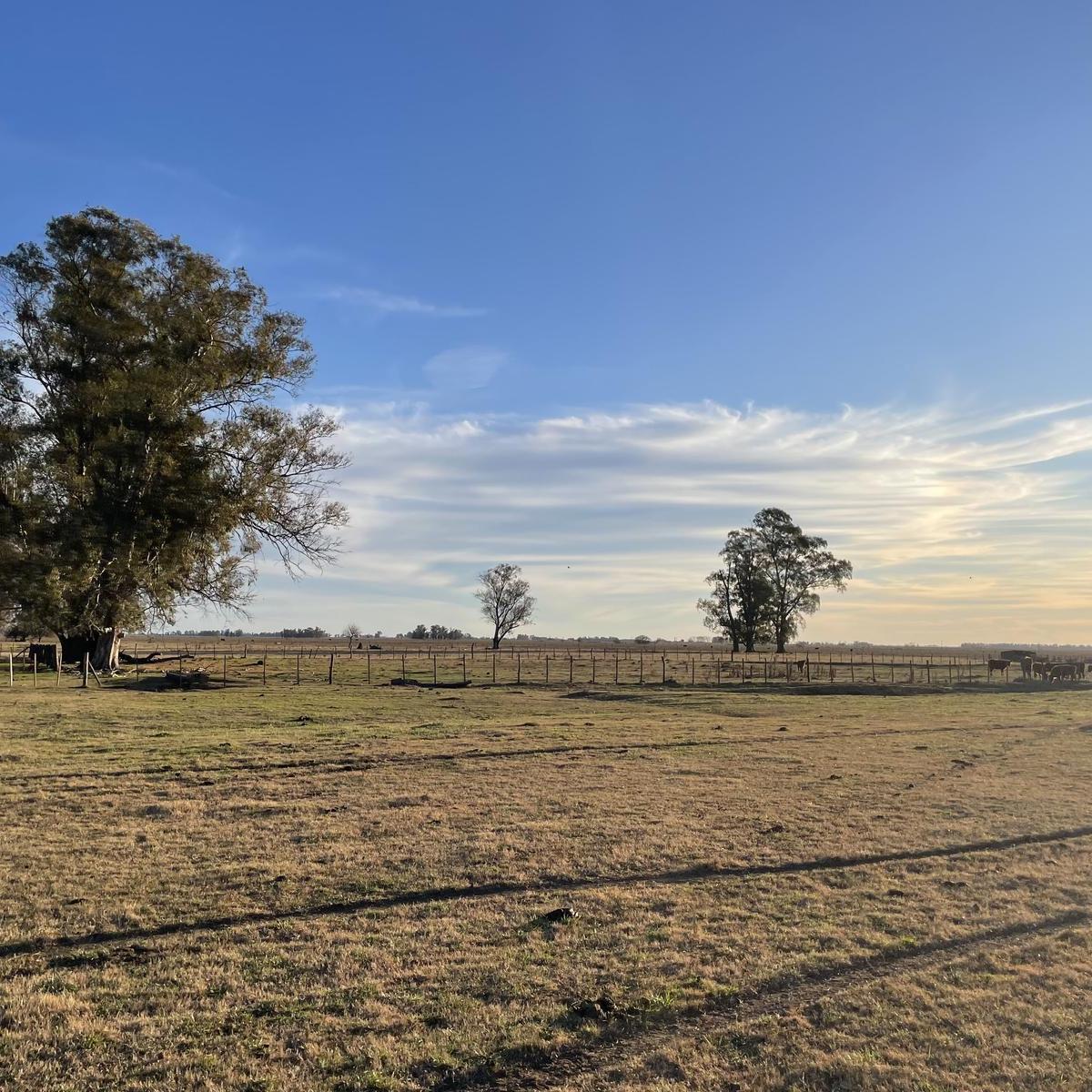 Oportunidad! Campo en Mercedes a 5 Km de La Ruta 41! 4