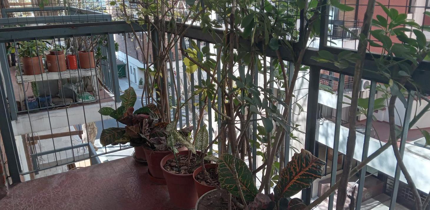 Foto de Departamento en Palermo Chico, imagen 4