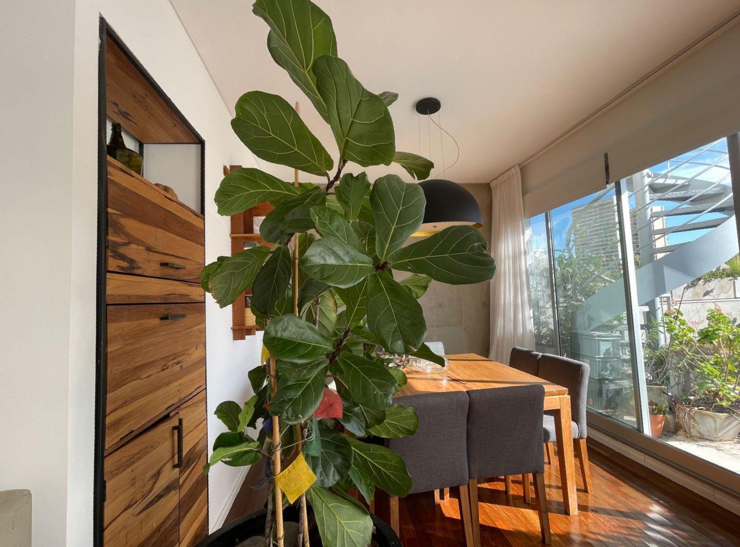 Foto de Departamento en Belgrano R, imagen 4