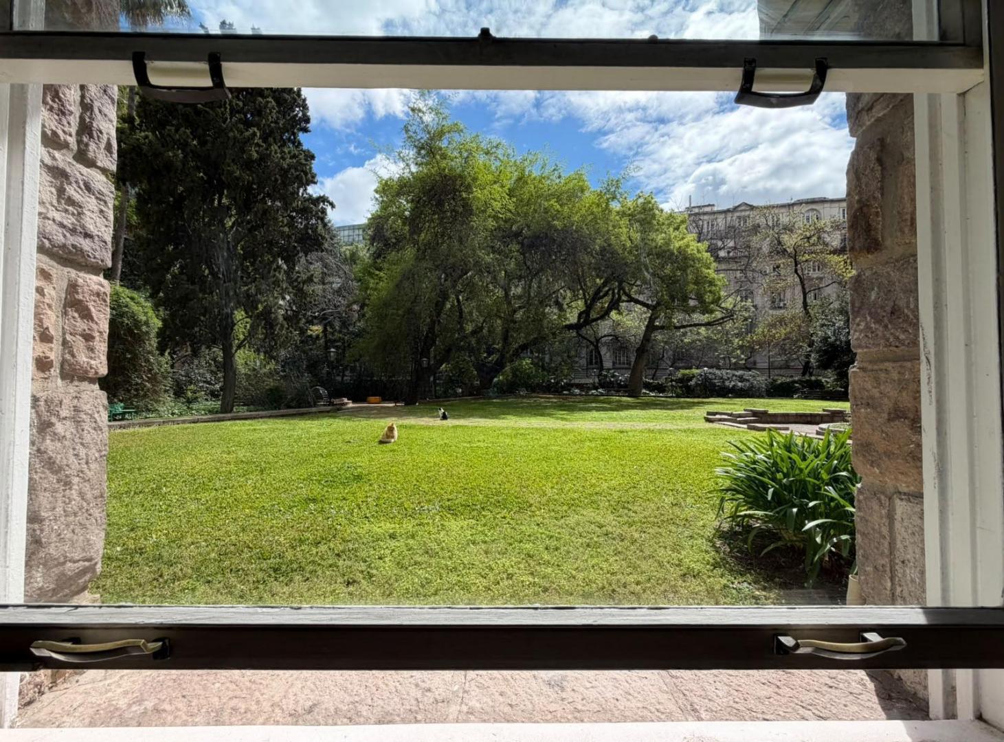 Foto de Departamento en Palermo Chico, imagen 3