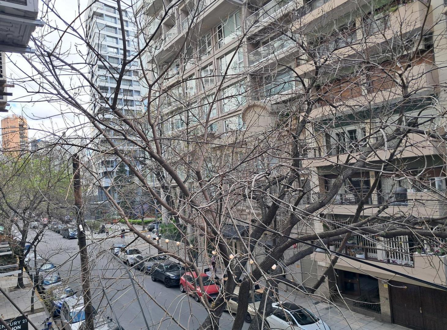 Foto de Oficina en Palermo Chico, imagen 3