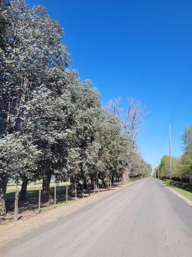 Foto de Terreno Fraccion en Venta en Pilar, G.B.A. Zona Norte, Argentina, imagen 2