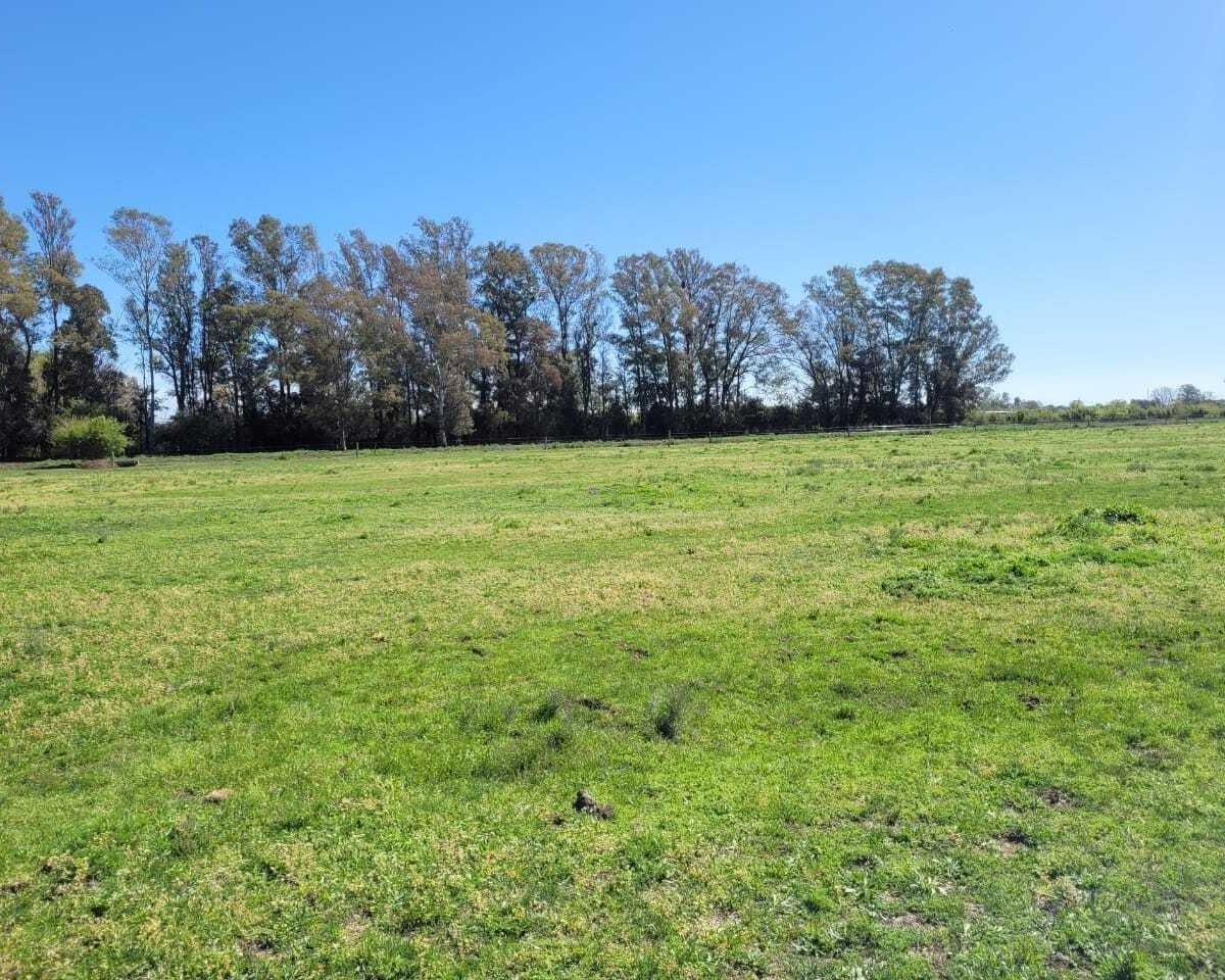Foto de Terreno Fraccion en Venta en Pilar, G.B.A. Zona Norte, Argentina, imagen 3