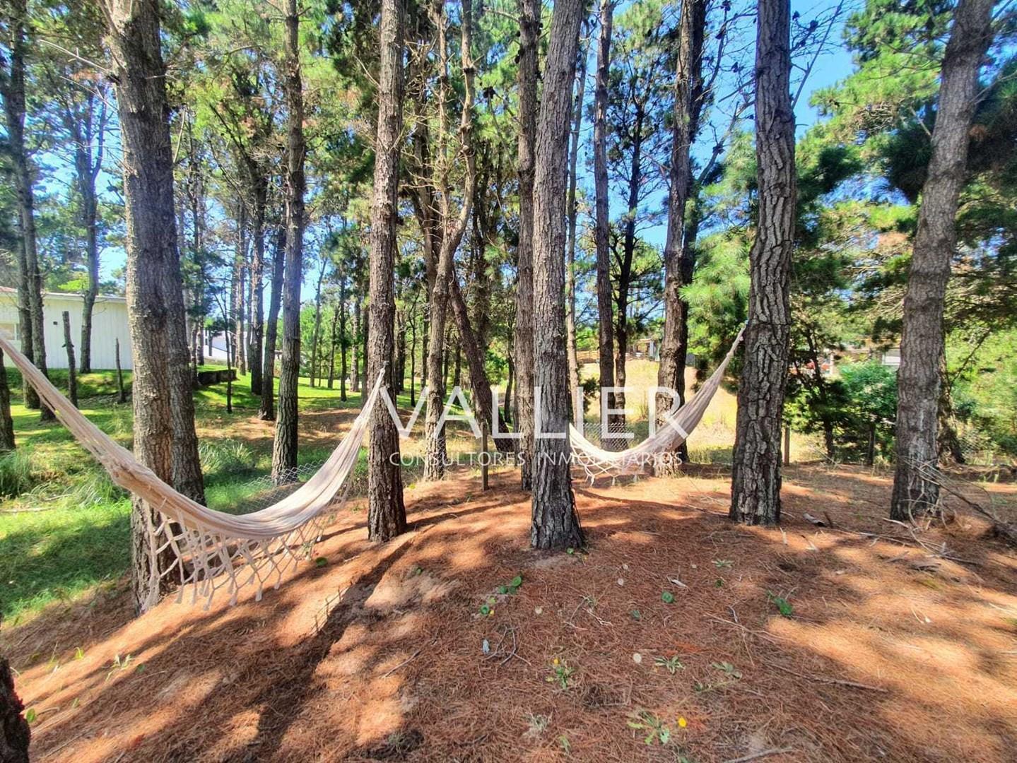 Foto de Casa en Alq. Temporario en Costa Esmeralda, Costa Atlántica, Buenos, imagen 2