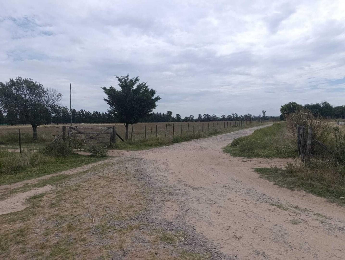 Casa Campo en Venta en Pilar, G.B.A. Zona Norte